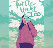 Donnabella-Mortel-Narrates-Teen-SuspenseMystery-Turtle-under-Ice-